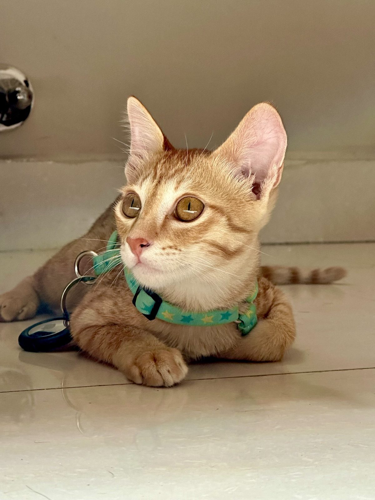 Those eyes