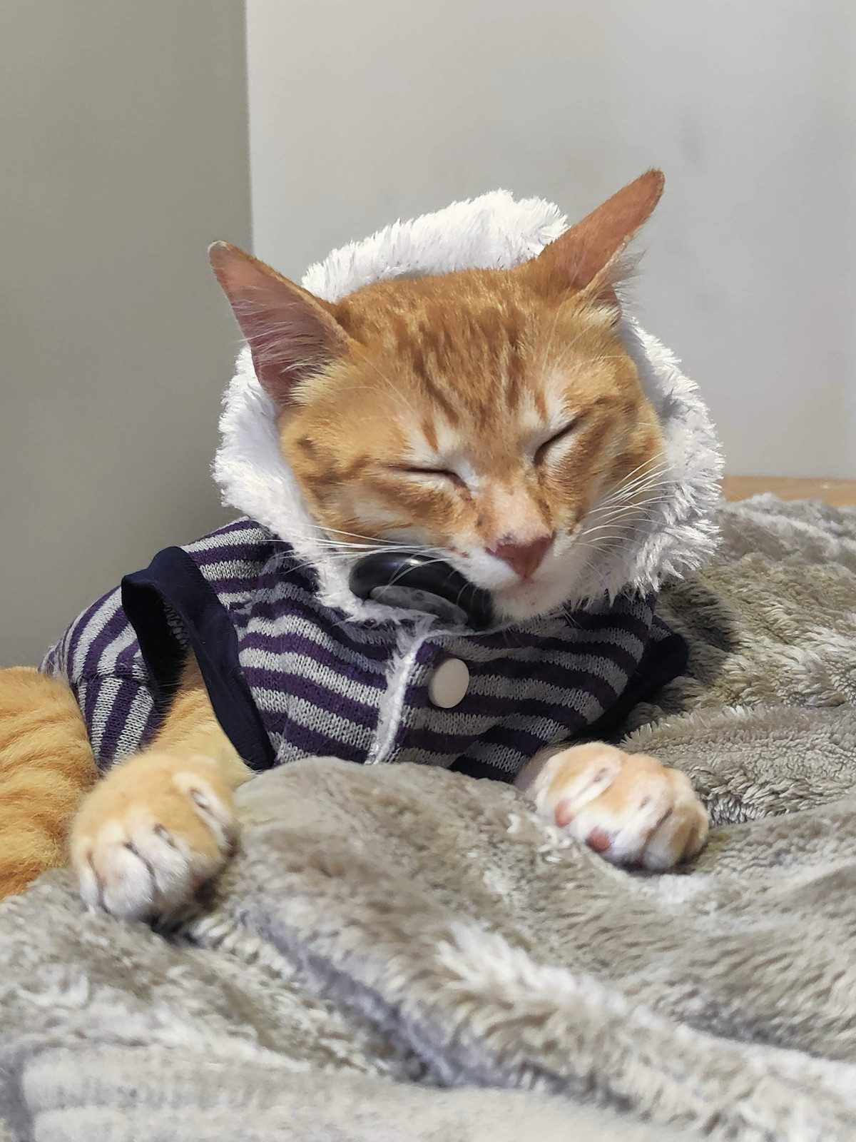 Hoodie weather