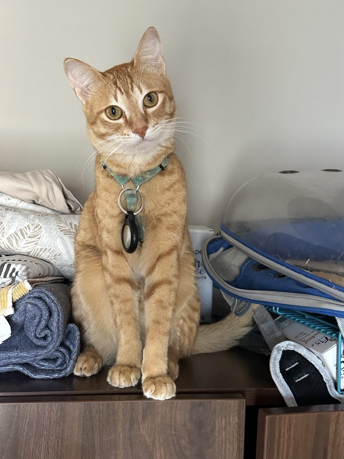 Sitting for a portrait