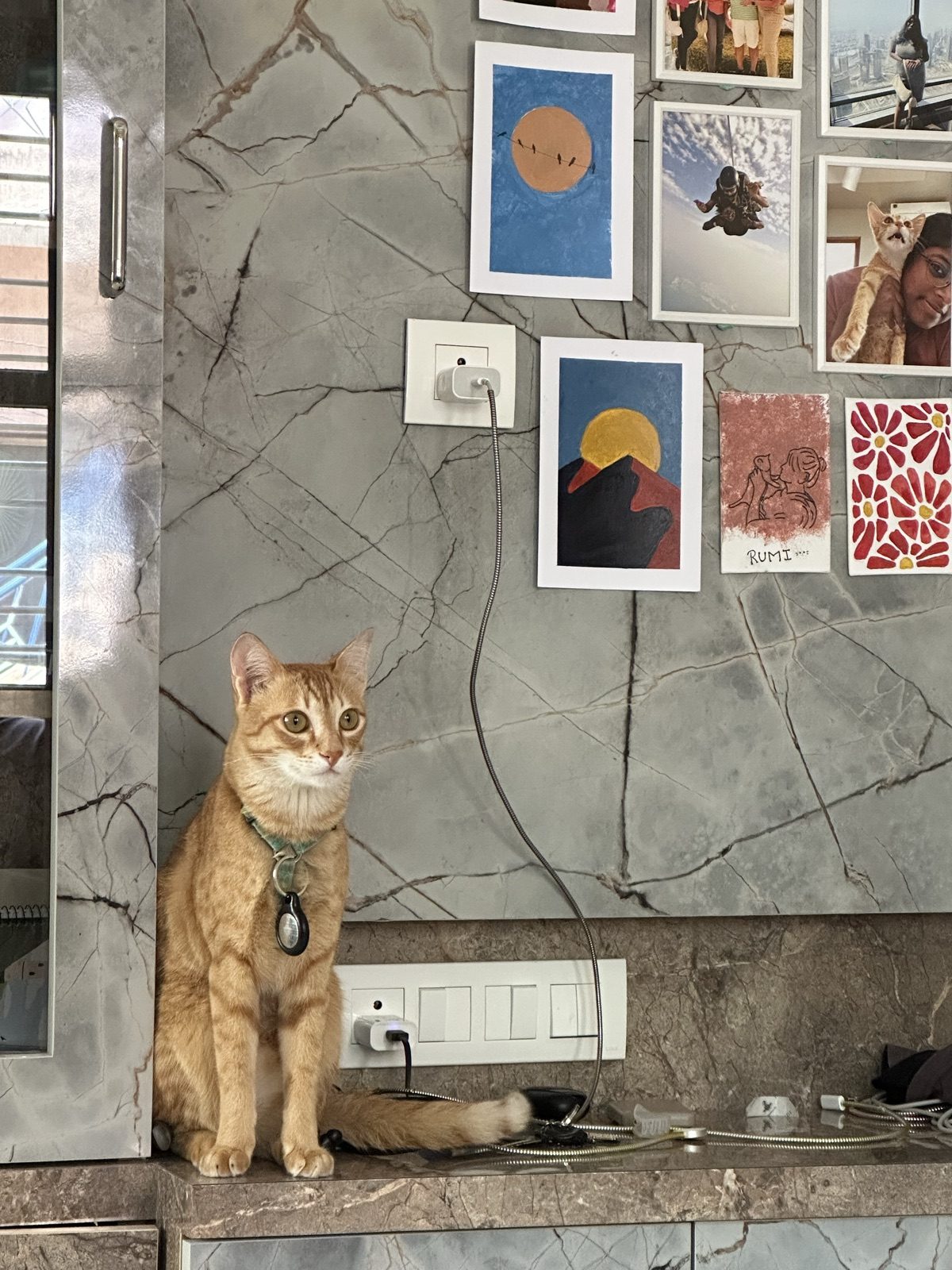 Under his own gallery wall